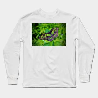 Green And Black Butterfly Long Sleeve T-Shirt